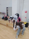 IMG_20261007_085454_587