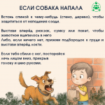 собаки_3