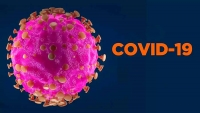 Koronavirus-19